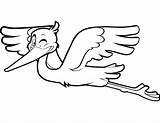 Bocian Cicogna Storch Stork Druku Rysunek Kolorowanki Kolorowanka Ausdrucken Winking Volo Cartone Animato Bociany Drukuj sketch template