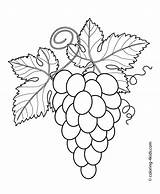 Coloring Pages Grapes Leaves Leaf Trauben Printable Kids Choose Board Fruits Berries sketch template