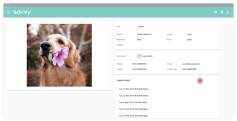 savvy groom school software  dog grooming trainers features
