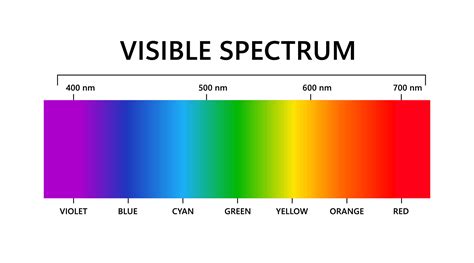 visible light spectrum electromagnetic visible color spectrum  human eye vector gradient