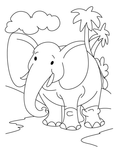 baby elephant coloring pages  preschoolers