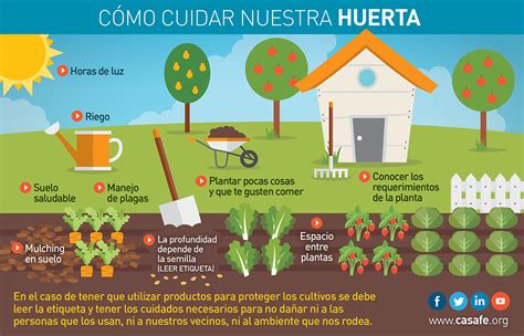 Buenas Prácticas Agrícolas En Tu Jardín Y En Tu Huerta Casafe