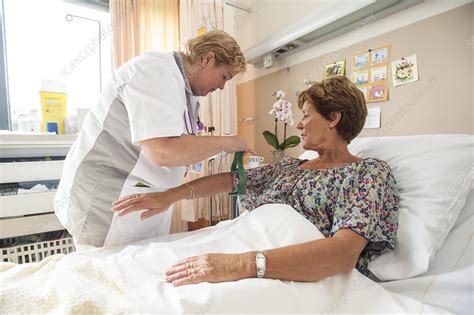 nurse preparing a patient for an iv line stock image