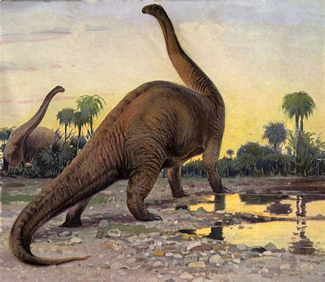 opinions  brontosaurus disambiguation