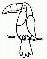 Toucan Printable Tucan Birds Starrynightsstudio Pascher Rainforest Toco Clipartmag sketch template