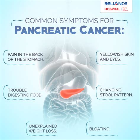 symptoms  pancreatic cancer