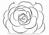 Draw Camellia Flower Drawing Step Flowers Exotic Tutorials Tutorial Paintingvalley Drawings Learn Camilia Drawingtutorials101 sketch template
