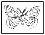 Coloring Caterpillar Pages Butterfly Hungry Carle Eric Very Printable Color Drawing Cocoon Simple Kids Sheet Clipart Flower Book Sheets Drawings sketch template