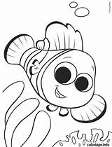 Poisson Coloriage Nemo Imprimer sketch template