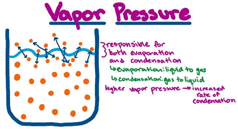 vapor pressure definition overview expii