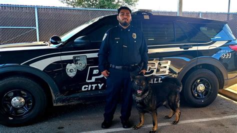 Police K9 Diesel Getting Body Armor Thanks To Charitable Donation