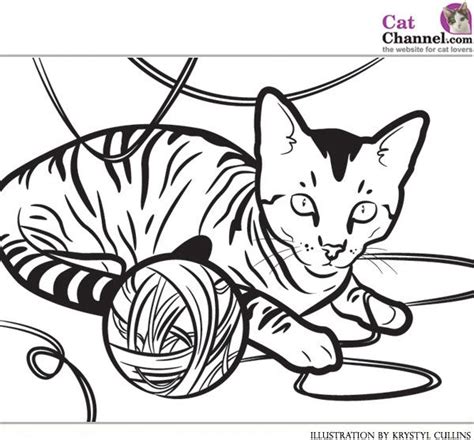 cat coloring page kittens coloring  cats