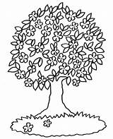 Baum Malvorlagen Ausmalen Malvorlage Kostenlos Ausdrucken Frühling Baeume Bluehender Blühender Bäume Frühlingsbaum Blumen Besten Einzelner Baume Gesicht Werden Thema sketch template