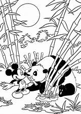 Panda Coloring Tulamama sketch template