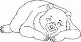 Bear Sleeping Coloring sketch template