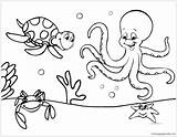 Coloring Pages Animal Real Life Getcolorings Marine sketch template