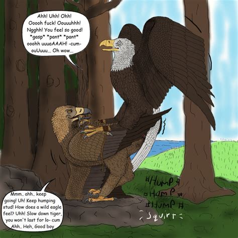 rule 34 avian bald eagle bird cloaca cum eagle feral furry gay golden eagle jesses licking