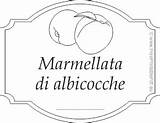 Marmellata Albicocche Etichette Etichetta sketch template
