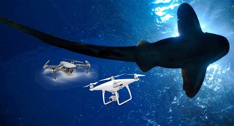 dji drone fishing   complete guide mavic phantom