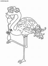 Flamingo Coloring Pages Printable Wonder sketch template