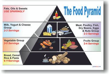 food pyramid posterenvycom