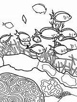 Coral Reef Corail Coloriages Turtles Coloriage Reefs Seas Getcolorings Kidsplaycolor sketch template