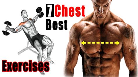 7 تمارين زيادة كثافة العضلية للصدر best chest exercises youtube