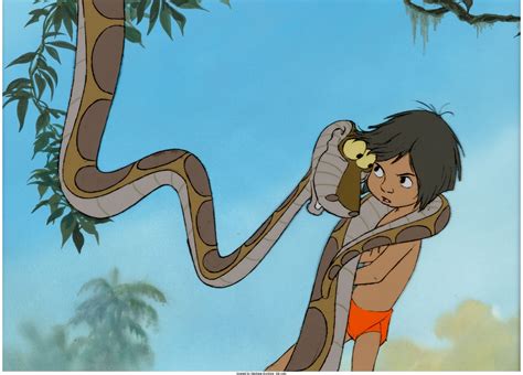 The Jungle Book Mowgli And Kaa Production Cel Setup Walt Disney 1967