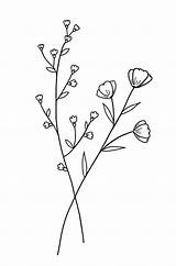 Flor Minimalista Minimalistas Lineas Adrienne Blumen Doodle Zeichnung Zeichnen Minimalistische Skizzen Blumenzeichnungen Abstrakte Leichte Sencillas Strichzeichnung Wildflower Fáciles Bloemen Wildflowers sketch template