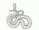 Snake Coloring Pages Printable Kids Snakes Drawing Rattlesnake Realistic Color Python Serpent Ninjago Colouring Anaconda Print Diamondback Line Sea Sheet sketch template
