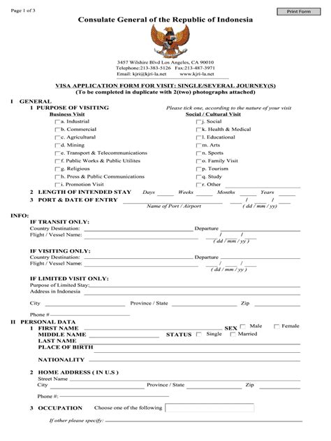 Visa Application Form Indonesia Fill Out And Sign Online Dochub
