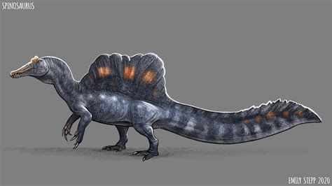 spinosaurus   emilystepp  atdeviantart spinosaurus