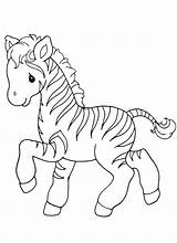 Zebra Coloring Pages Cute Baby Getcolorings Printable sketch template