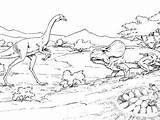 Pages Nest Coloring Protoceratops Oviraptor Approaching Ornithischian Dinosaurs Coloringpagesonly sketch template