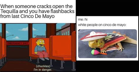 13 Cinco De Mayo Memes For Anyone Tryna Get Turnt