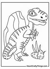 Coloring Raptor Jurassic Velociraptor sketch template