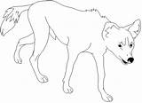 Dingo Coloring 426px 31kb sketch template