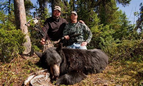 spring canadian bear hunting  incredible cast  blast adventure fishing reports hunting