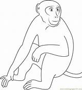 Monkey Coloring Sundarbans Pages Coloringpages101 Color Monkeys Online sketch template