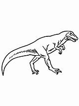 Allosaurus Online Pages Dinosaurs Dino Coloring sketch template