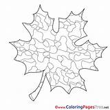 Coloring Pages Maple Leaf Children Sheet Title sketch template