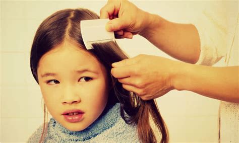 The 5 Emotional Stages Of Lice