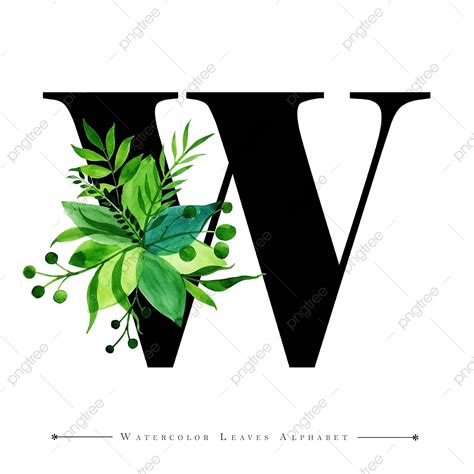 letter  clipart vector letter   watercolor leaves background