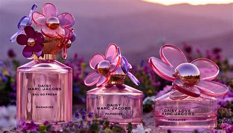 marc jacobs pays homage  desert superbloom  daisy paradise scents