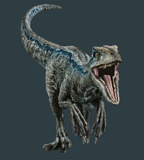 raptor blue dinosaur pictures dinosaur mania