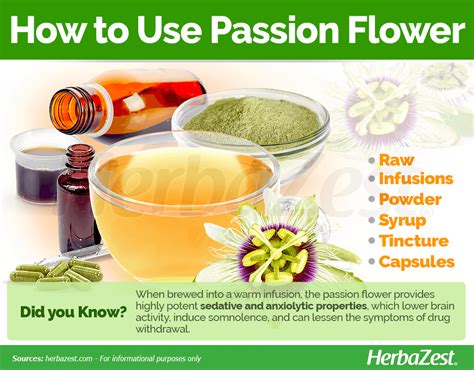 Passion Flower Herbazest Fruit Benefits Passion Flower Passion