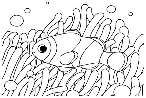 clownfish  anemonefish coloring page  printable coloring pages