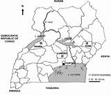 Uganda Kumi Hoima Districts Luwero sketch template