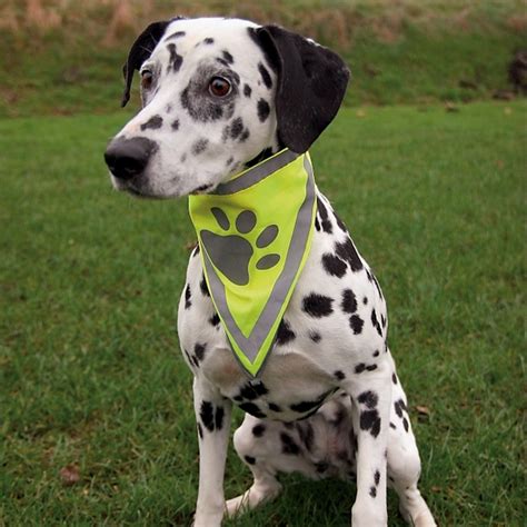 highly reflective dog neckerchief