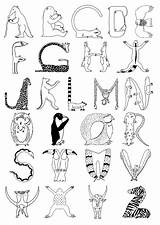 Alphabet Animal sketch template